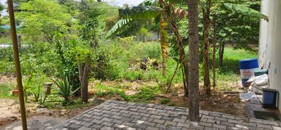 Residential Plot