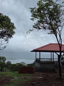 Image of 11000 Sq.ft Residential Plot / Land for sale in Mulshi, Pune for Rs. 5500000
