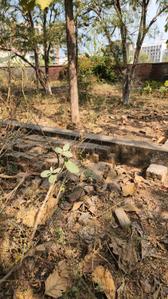 Dholeshwar park Plot View 2