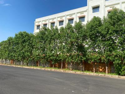 Image of 2500 Sq.ft Residential Plot / Land for sale in Madhurawada, Visakhapatnam for Rs. 3400000