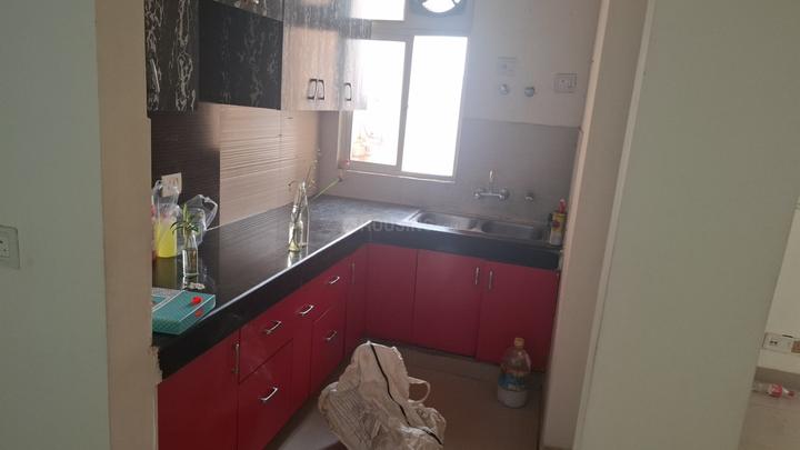 Paramount Mapple Main Image 1