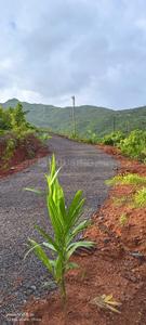 Image of 40000 Sq.ft Residential Plot / Land for sale in Bhor, Pune for Rs. 3500000
