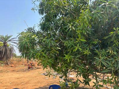 Image of 9529 Sq.ft Residential Plot / Land for sale in Srinivaspur Rural, Kolar for Rs. 5717400