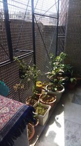 Balcony Image of 800 Sq.ft 2 BHK Apartment / Flat for sale in Mehrauli New Delhi for Rs. 4500000
