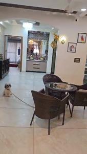 Image of 7200 Sq.ft 3 BHK Independent House for sale in Palam Vihar, Gurgaon for Rs. 110000000
