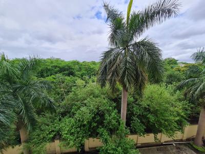 Image of 1550 Sq.ft 3 BHK Apartment / Flat for rent in Lunkad Goldcoast, Viman Nagar, Pune for Rs. 52000