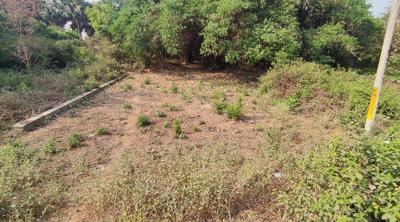 Image of 2041 Sq.ft Residential Plot / Land for sale in Khagaul, Patna for Rs. 6400000