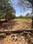 starz Club Plot View 2