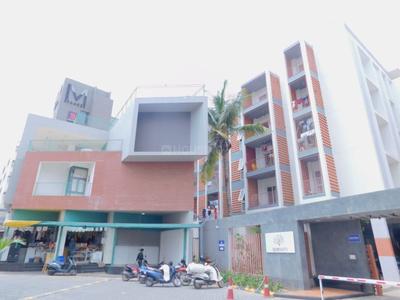 3 BHK Flat