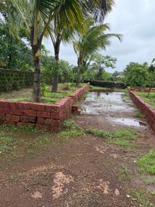Image of 24976 Sq.ft Residential Plot / Land for sale in Niwali, Ratnagiri for Rs. 9000000