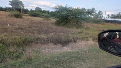 Residential Plot