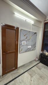 Hall Image of 1350 Sq.ft 3 BHK Apartment / Flat for rent in Sector 49 Chandigarh for Rs. 38000
