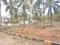 Marsur Plot View 2