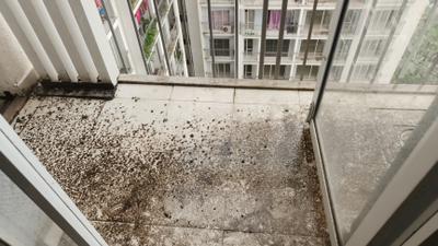 Balcony Image of 699 Sq.ft 1 BHK Apartment / Flat for sale in Badlapur East Badlapur for Rs. 2800000