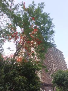 Image of 2280 Sq.ft 4 BHK Apartment / Flat for sale in Rising Homes At DXP 92, Sector 92, Gurgaon for Rs. 29900000