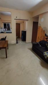 Hall Image of 900 Sq.ft 2 BHK Independent House for rent in Shankar Nagar Raipur for Rs. 22000