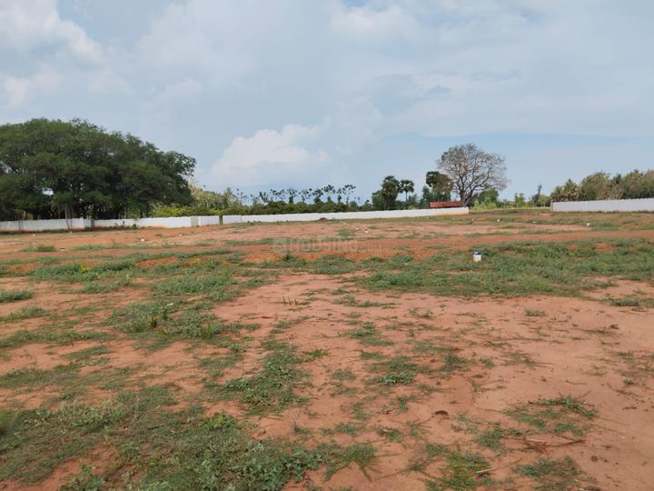 Nanjikottai bypass Main Image 1
