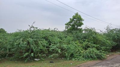Image of 5812 Sq.ft Residential Plot / Land for sale in Bani, Sadar, Unnao for Rs. 5300000