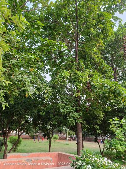 Block F, Beta II Greater Noida Main Image 1