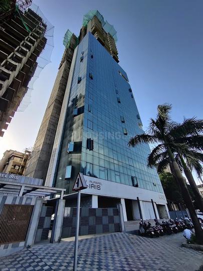 Ruparel Iris Main Image 1