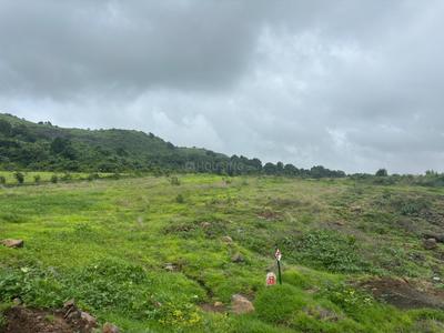 Image of 10890 Sq.ft Residential Plot / Land for sale in Trimbak, Nashik for Rs. 4500000
