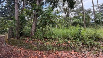 Image of 7840 Sq.ft Residential Plot / Land for sale in Adoor, Pathanamthitta for Rs. 23400000