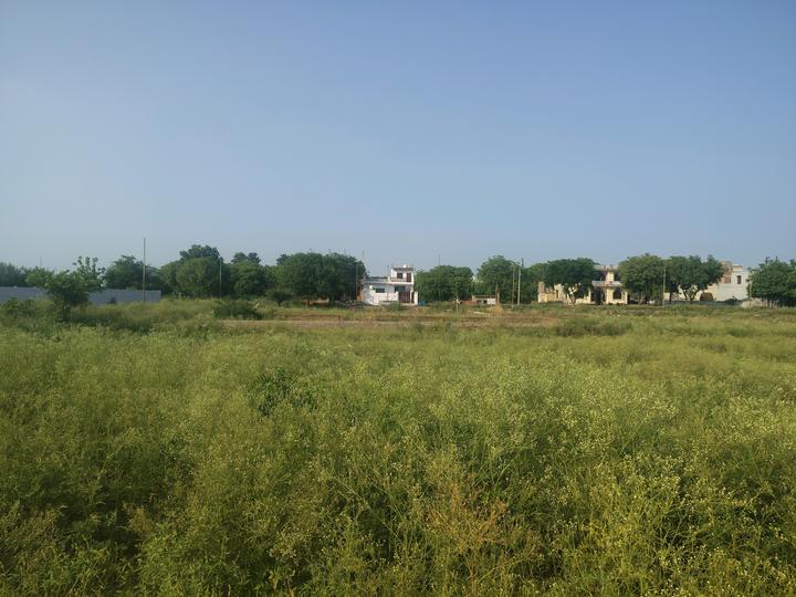 Theta II Main Image 1
