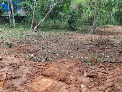 Image of 4356 Sq.ft Residential Plot / Land for sale in Chathannoor, Kollam for Rs. 3700000