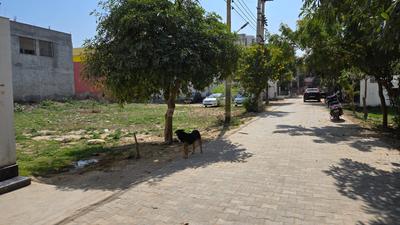 Image of 2250 Sq.ft Residential Plot / Land for sale in Sector 110, Gurgaon for Rs. 26250000