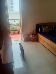 Bedroom Image of 1050 Sq.ft 2 BHK Apartment / Flat for sale in Warje Pune for Rs. 11000000