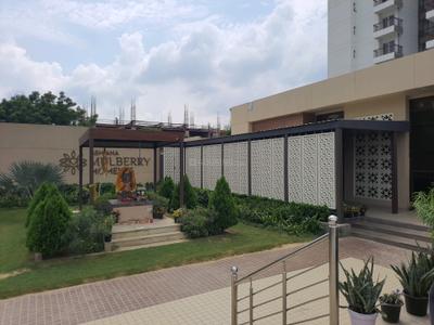 Building Image of 1350 Sq.ft 2.5 BHK Apartment / Flat for sale in Ashiana Mulberry, Sector 2 Sohna for Rs. 13500000