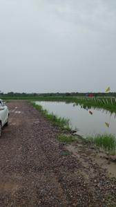 Image of 50 Sq.ft Residential Plot / Land for sale in Silani, Gurgaon for Rs. 750000