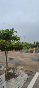 Image of 1406 Sq.ft Residential Plot / Land for sale in Bhilai Marshalling Yard, Charoda for Rs. 2390200