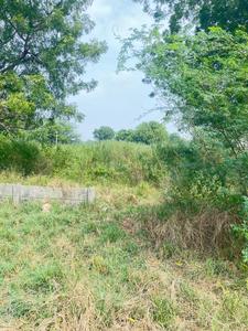 Prakurti Plot View 1