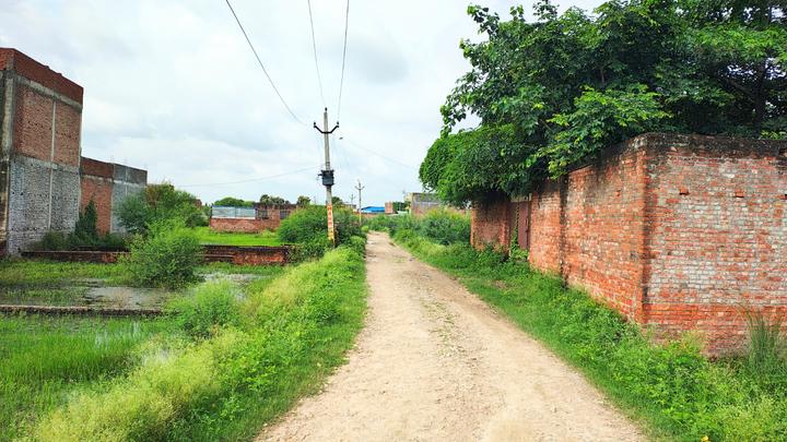 Parao Main Image 1