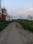 New Royal Enclave Internal Roads 1