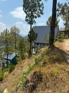 Image of 4320 Sq.ft Residential Plot / Land for sale in Mukteshwar, Nainital for Rs. 3500000