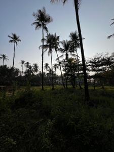 Image of 1928 Sq.ft Residential Plot / Land for sale in Tiswadi, Goa for Rs. 50100000