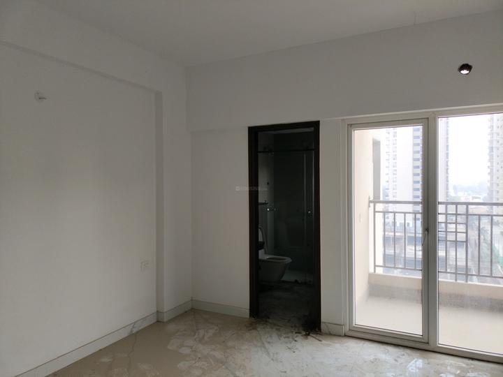 ACE Divino Main Image 1