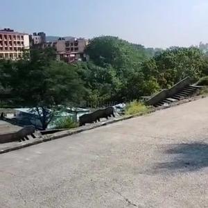 Image of 1743 Sq.ft Residential Plot / Land for sale in Deeksha Mayfair Highlands Plots, Mussoorie Road, Dehradun for Rs. 19500000