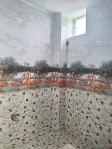 Common Bathroom Image of 920 Sq.ft 2 BHK Villa for sale in Perumalpattu Chennai for Rs. 5800000