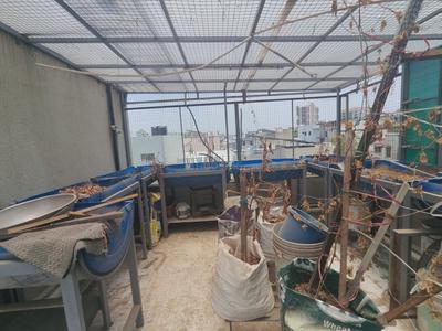 Balcony Image of 3150 Sq.ft 3 BHK Villa for sale in Jodhpur Ahmedabad for Rs. 42500000