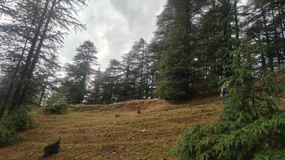 Image of 4046 Sq.ft Residential Plot / Land for sale in Bhattakufer, Shimla for Rs. 5000000