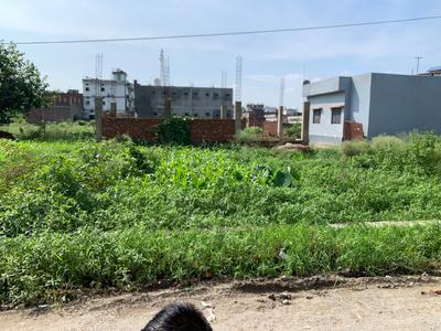Selakui Plot View 3