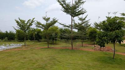 Image of 6000 Sq.ft Residential Plot / Land for sale in Gudibanda, Chikballapur District for Rs. 4800000