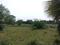 Sherpur  Plot View 1