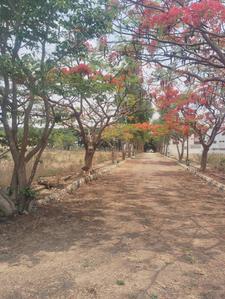 Image of 1672 Sq.ft Residential Plot / Land for sale in Chandapura, Bengaluru for Rs. 7942000