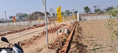 Dankaur Plot View 3