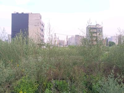 Image of 60 Sq.ft Residential Plot / Land for sale in Rohini Sector 28, New Delhi for Rs. 15500000