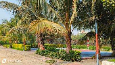 Image of 1032 Sq.ft Residential Plot / Land for sale in Avanti Vihar, Raipur for Rs. 3870000